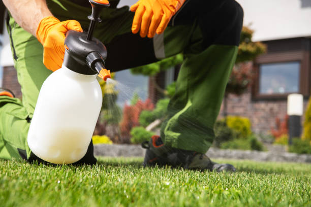 Pest Control Cost in Marina Del Rey, CA