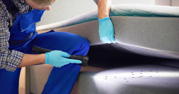 Professional Pest Control in Marina Del Rey, CA