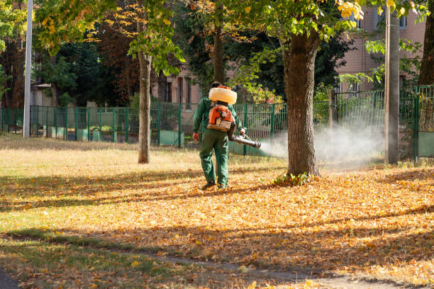 Insect Control in Marina Del Rey, CA
