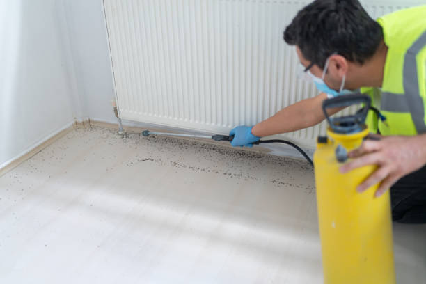 Best Ant Control Services  in Marina Del Rey, CA